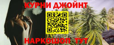 молекула духа Гатчина