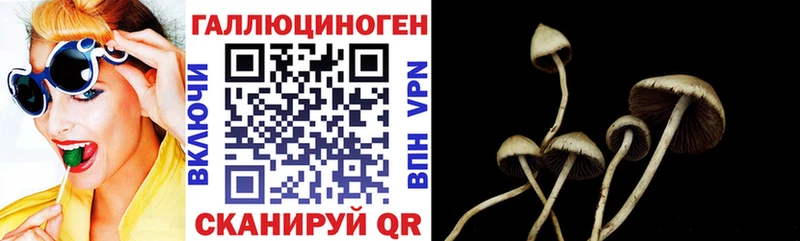 Псилоцибиновые грибы мицелий  MEGA рабочий сайт  Железногорск 