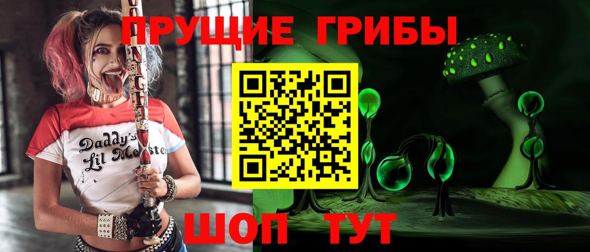 Псилоцибиновые грибы Psilocybe Железногорск