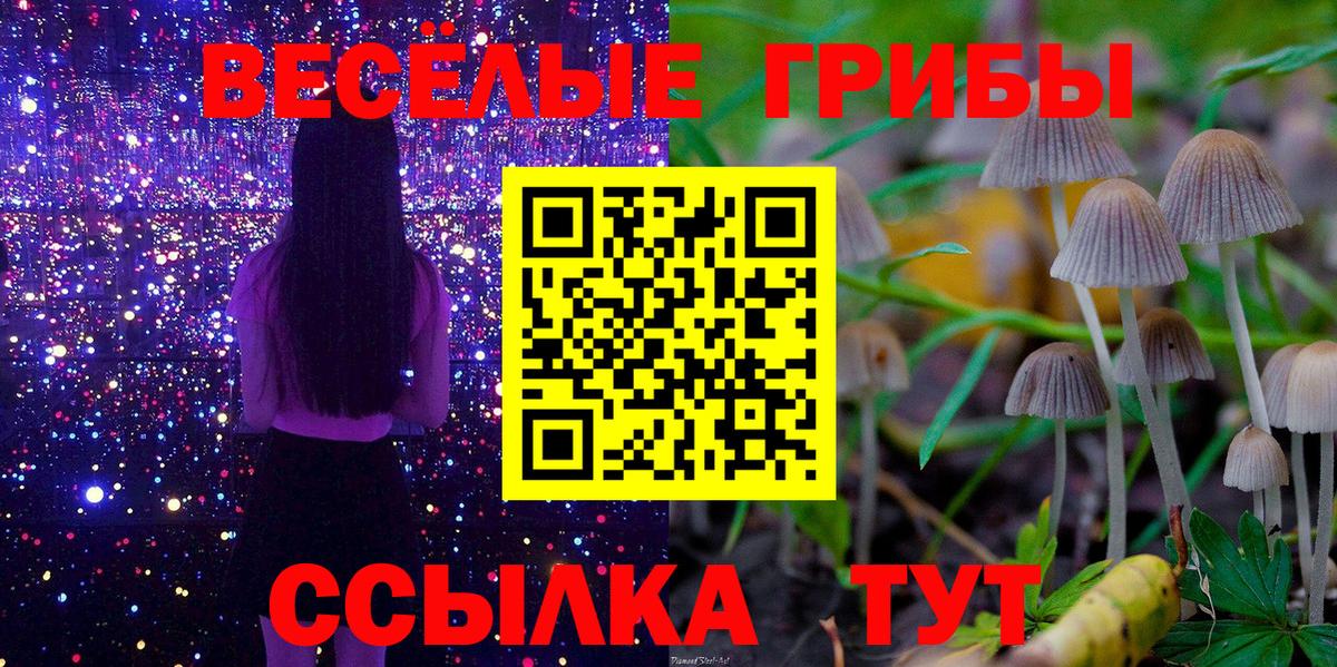 Железногорск  Псилоцибиновые грибы Cubensis  Вход с VPN 